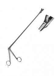 Biopsy forceps for rectum