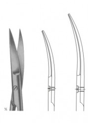 Surgical Scissors