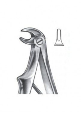 Extracting  Forceps For Children - English Pattern