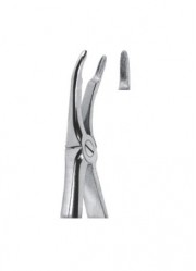 Extracting  Forceps - English Pattern