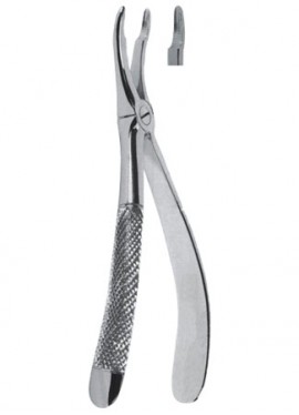 Extracting  Forceps - English Pattern