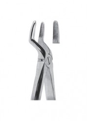 Extracting  Forceps - English Pattern