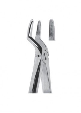 Extracting  Forceps - English Pattern