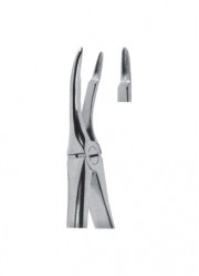 Extracting  Forceps - English Pattern