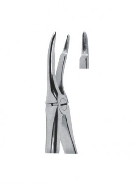 Extracting  Forceps - English Pattern