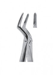 Extracting  Forceps - English Pattern