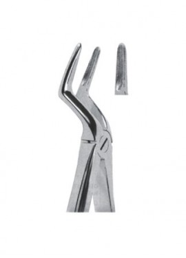 Extracting  Forceps - English Pattern