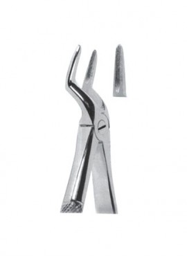 Extracting  Forceps - English Pattern