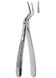 Extracting  Forceps - English Pattern