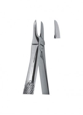 Extracting  Forceps - English Pattern