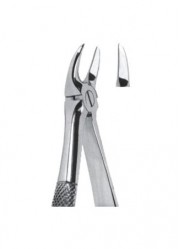 Extracting  Forceps - English Pattern