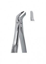 Extracting  Forceps - English Pattern