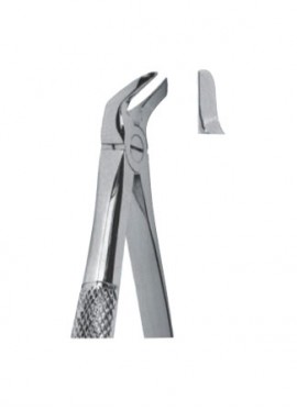 Extracting  Forceps - English Pattern