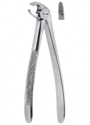 Extracting  Forceps - English Pattern