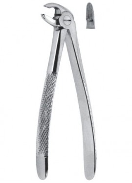 Extracting  Forceps - English Pattern