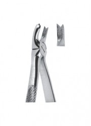 Extracting  Forceps - English Pattern