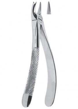 Extracting  Forceps - English Pattern