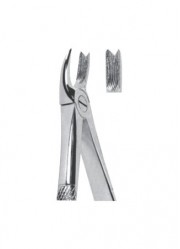 Extracting  Forceps - English Pattern