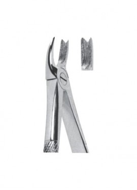 Extracting  Forceps - English Pattern