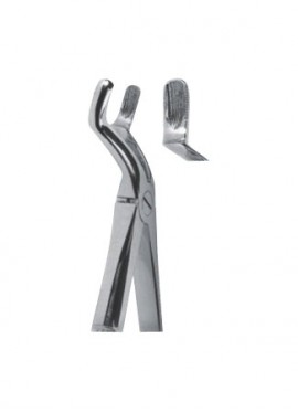 Extracting  Forceps - English Pattern