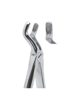 Extracting  Forceps - English Pattern