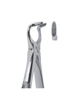 Extracting  Forceps - English Pattern