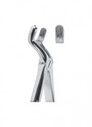 Extracting  Forceps - English Pattern