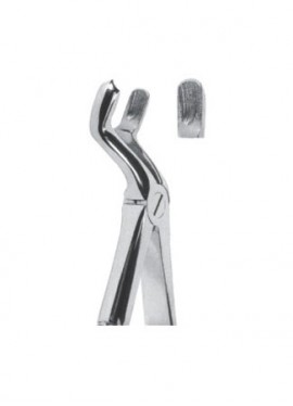 Extracting  Forceps - English Pattern