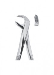 Extracting  Forceps - English Pattern