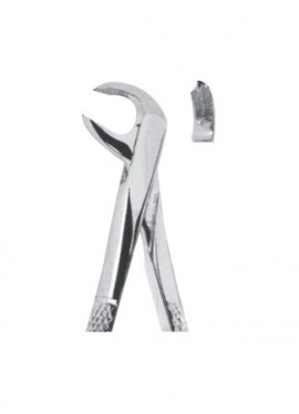 Extracting  Forceps - English Pattern