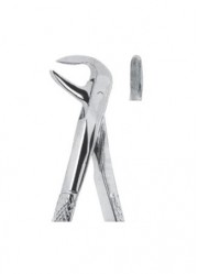 Extracting  Forceps - English Pattern