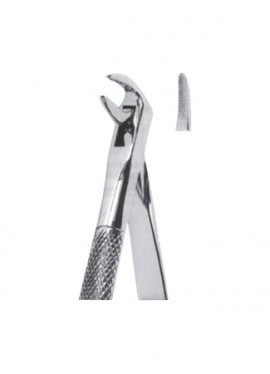 Extracting  Forceps - English Pattern