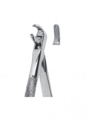 Extracting  Forceps - English Pattern