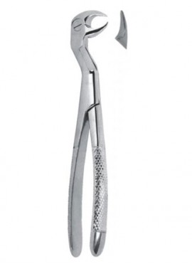 Extracting  Forceps - English Pattern