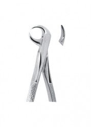 Extracting  Forceps - English Pattern