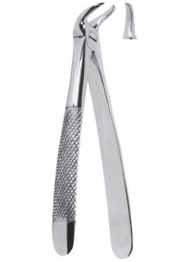 Extracting  Forceps - English Pattern