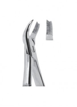 Extracting  Forceps - English Pattern