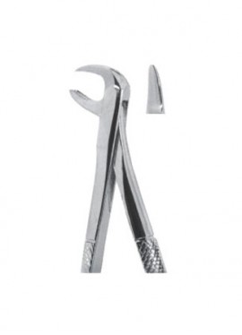 Extracting  Forceps - English Pattern