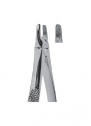 Extracting  Forceps - English Pattern