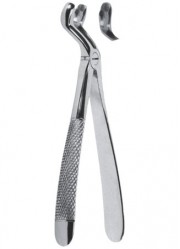 Extracting  Forceps - English Pattern