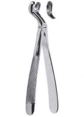 Extracting  Forceps - English Pattern