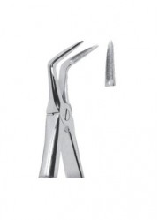 Extracting  Forceps - English Pattern