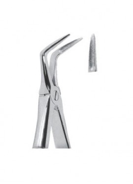 Extracting  Forceps - English Pattern