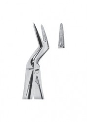 Extracting  Forceps - English Pattern