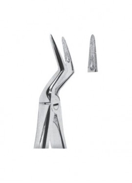 Extracting  Forceps - English Pattern