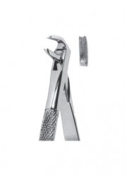 Extracting  Forceps - English Pattern