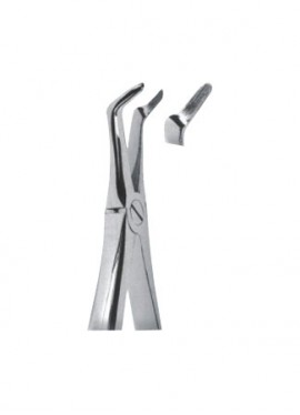 Extracting  Forceps - English Pattern