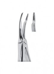 Extracting  Forceps - English Pattern