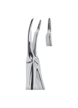 Extracting  Forceps - English Pattern