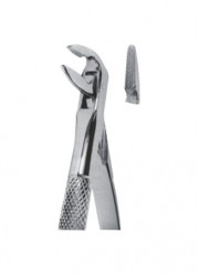 Extracting  Forceps - English Pattern